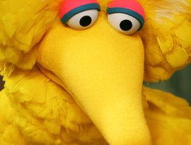 Avatar for Big Bird