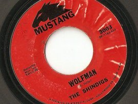 The Shindigs 的头像