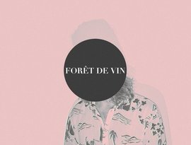 Forêt de Vin のアバター