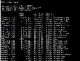 Avatar for MS-DOS