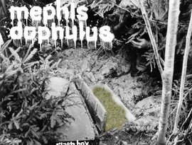 Avatar for Mephis Dophulus