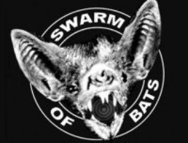Swarm Of Bats 的头像