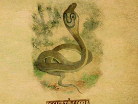 Desierto Cobra 的头像