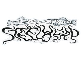 STEELHEAD 的头像