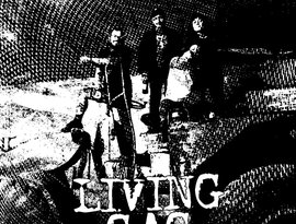 Livin' Gag 的头像