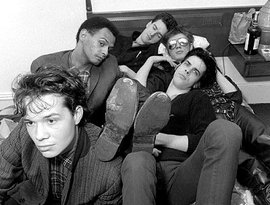 Nick Cave & the Bad Seeds 的头像