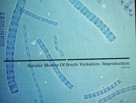 Secular Musics Of South Yorkshire 的头像