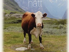 Avatar für Hått