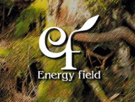 Avatar for Energy Field