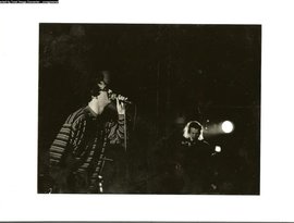 the Honey Buzzards 的头像