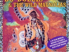 Avatar de Bo Dollis & the Wild Magnolias