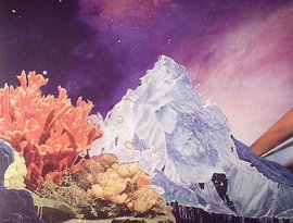 Mark Mcguire & Nate Scheible 的头像