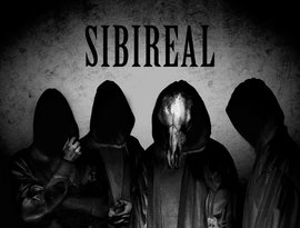 Avatar for Sibireal