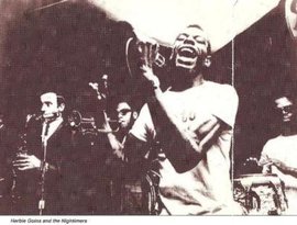 Avatar di Herbie Goins & The Nightimers