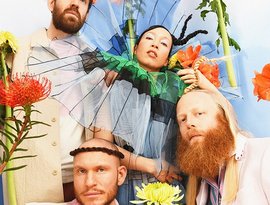 Little Dragon のアバター