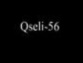 Avatar for Qseli 56