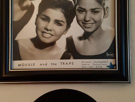 Avatar for Mousie & The Traps