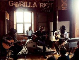 Аватар для Gorilla Riot