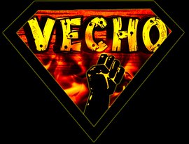 Vecho 的头像