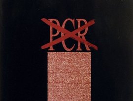 Avatar for P.C.R.