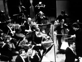 London Musici 的头像