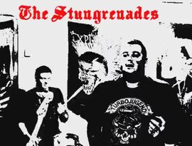 Avatar di The Stungrenades