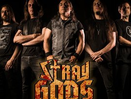 Stray Gods 的头像