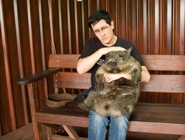The Mountain Goats 的头像