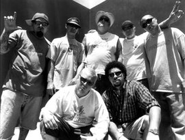 Awatar dla Long Beach Dub All Stars