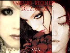Avatar for Kaya ,Hizaki ,Seila