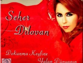 Avatar for Seher Dilovan