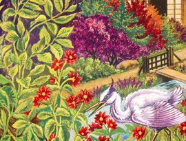 Avatar for Animal and Bird Songs
