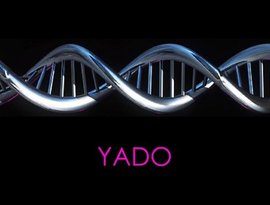 Avatar for YADO