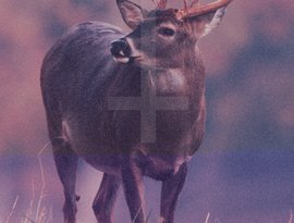 Avatar for Deer Diary