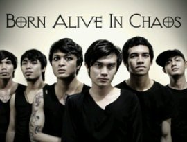 Born Alive In Chaos 的头像