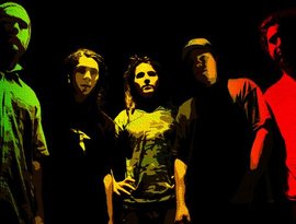 Avatar for Tribal Seeds