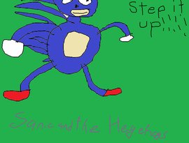 Avatar for Sanic and the Hegehogs