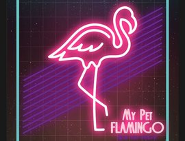 My Pet Flamingo 的头像