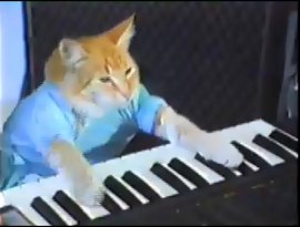 gato pianista 的头像