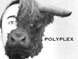 Avatar för PolyPlex