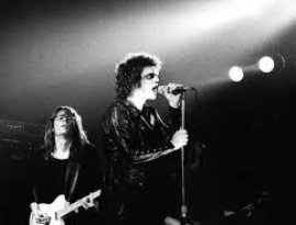Paul Keogh, Lou Reed, Steve Howe 的头像