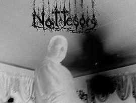 Awatar dla nattesorg