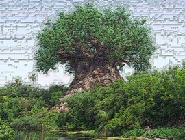 Avatar for Mental fractal