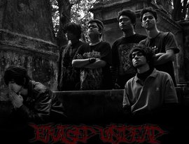 Avatar for Erased Undead