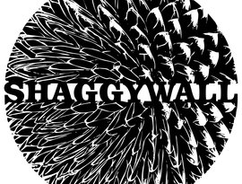 Avatar for ShaggyWall