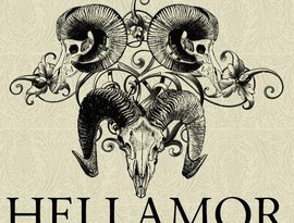 HELLAMOR 的头像