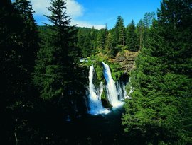 Avatar for The Sounds Of Nature