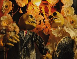 PAPAYA REPUBLIK のアバター