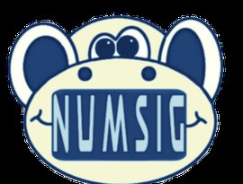 Numsig 的头像