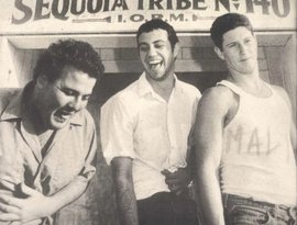 Avatar de Minutemen